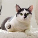 [찐리뷰] 소개로 구경 왔다가 등록 하게 되는 이유?_복현동 헬스장 피트온24
