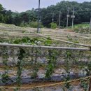 덕장농장 이미지