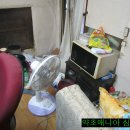 돼지우리 이미지