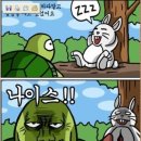 토끼와거북이