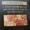 오휘홍성지사 | 센테니카 로얄골드 에디션