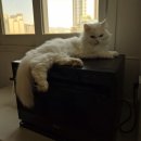 엠오바이오 이미지