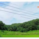 미당공인중개사사무소 이미지