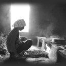 꽃다울 - 유성구 신성남로95번길 26 | 꽃다울