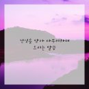 메신저-그곳으로부터 | 부산휴대폰 쇼핑, 이제 고민 끝! 내 마음을 사로잡은 블링폰 이야기예요