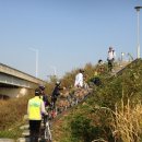 안성 월동천 이미지