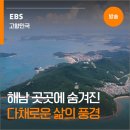 해남군민광장 상징조 | 땅끝 해남 곳곳에 숨겨진 다채로운 삶의 풍경과 이야기들ㅣ고향민국 <해남> 미리보기