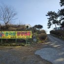 은혜네 영양굴밥 이미지