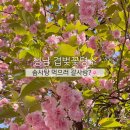 탑골 어린이공원 이미지