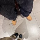 성호슈퍼 | 10월 셋째주+넷째주 | 말차중독자의 일상