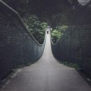 사주명리학(심화반) 이미지