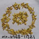 지리산 마리공방 이미지