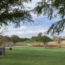 갈대정원 이미지