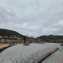 알프스 | 등억 알프스 야영장 사이트 시설 후기입니다