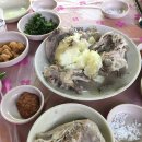 봉화유곡오리