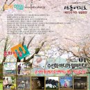 지도읍 복지센터 | 대동여지도20250409 - 수선화 바다가 펼쳐진다! 온 섬이 황금빛으로 반짝이는 명소