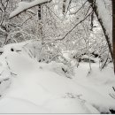 푸른산악회(수지/분당/광주) 산행안내 입니다(1월27일) 이미지