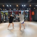 조대체육관 이미지