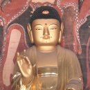 영천 은해사 목조아미타여래좌상 이미지