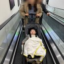 마곡목장 | D+289 ~ 296 마곡 트레이더스 유아휴게실, 퍼기 밥솥칸막이 후기이유식, 9개월 아기 장난감