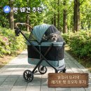 레가토 강아지 유모차 레가토 콜리 추천 오토폴딩