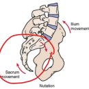 토니바디PT 용마점 이미지