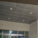 영운국민체육센터 수영장 후기(자유수영)