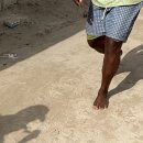 돌고래바나나노래연습장 | 10월 잔지바르 여행 | 돌고래랑 수영하고 스노클링하다 불가사리 잡기