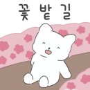 룸엘이스케이프당곡점 이미지