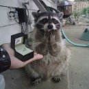 웨스턴짐 이미지