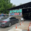 담양 삼거리농원 닭볶음탕 맛집, 직원이 알려준 웨이팅 하지 않고 바로 먹는 방법