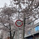 전남 로컬픽 지원사업 서류 합격, 면접 후기