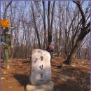 수리산둘레길 이미지