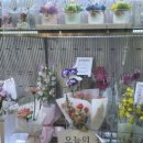 모코코플레르