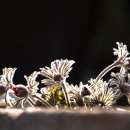 카페울림 이미지