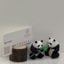 정우영정신건강의학과의원 | [이쁘다헤어 해운대점] 부산 해운대역 근처 호유 모발 재생클리닉 추천