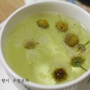 영남보일러 - 진주시 장대로20번길 11 | 영남보일러