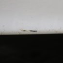 자동차피부과 이미지