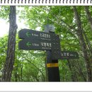 응암역2번출구 앞 (국민은행) Daum카페
