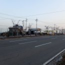 국사봉랜드 Daum카페