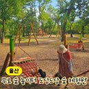 울산 아이랑 가기 좋은 숲 놀이터 선바위 휴게소 도담도담 숲 체험원 [장소, 후기]