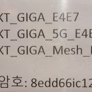 빈체로 피트니스 이미지