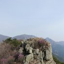 2016년 4월 2일 진해 장복산 덕주봉 웅산 시루봉을 다녀와서 이미지