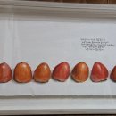 수채 담은 캘리그라피 이미지