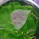 [농라 농라마트]밀양깻잎 찹찹이깻잎 후기
