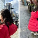 상호디자인 이미지