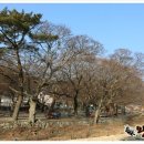 거제옥산숲 이미지