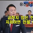 한동훈 민주당 꽃놀이 패 전락, 좌절하는 국짐 이미지