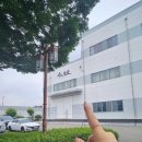 (주)굿모닝기업 이미지