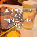 더존두마리치킨 | 부산 해운대구 우동 치킨 "텍사스두마리치킨" 내돈내산 후기